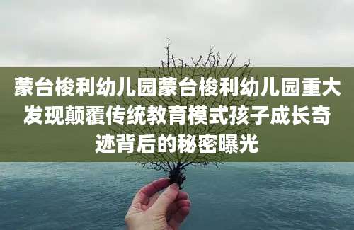 蒙台梭利幼儿园蒙台梭利幼儿园重大发现颠覆传统教育模式孩子成长奇迹背后的秘密曝光