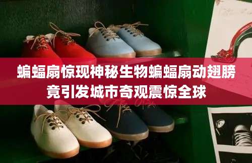 蝙蝠扇惊现神秘生物蝙蝠扇动翅膀竟引发城市奇观震惊全球