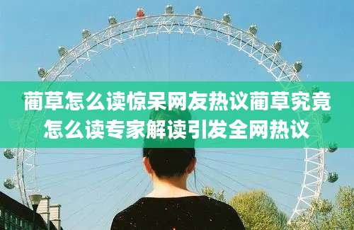 蔺草怎么读惊呆网友热议蔺草究竟怎么读专家解读引发全网热议