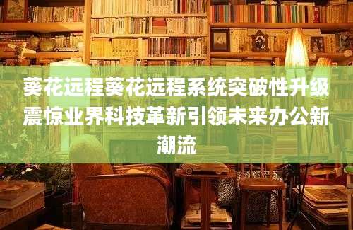 葵花远程葵花远程系统突破性升级震惊业界科技革新引领未来办公新潮流