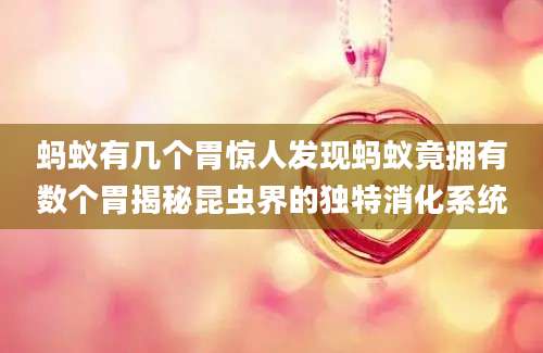 蚂蚁有几个胃惊人发现蚂蚁竟拥有数个胃揭秘昆虫界的独特消化系统