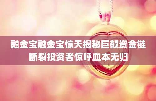 融金宝融金宝惊天揭秘巨额资金链断裂投资者惊呼血本无归