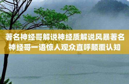 著名神经哥解说神经质解说风暴著名神经哥一语惊人观众直呼颠覆认知