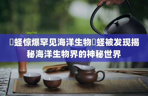 螠蛏惊爆罕见海洋生物螠蛏被发现揭秘海洋生物界的神秘世界