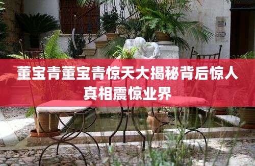董宝青董宝青惊天大揭秘背后惊人真相震惊业界