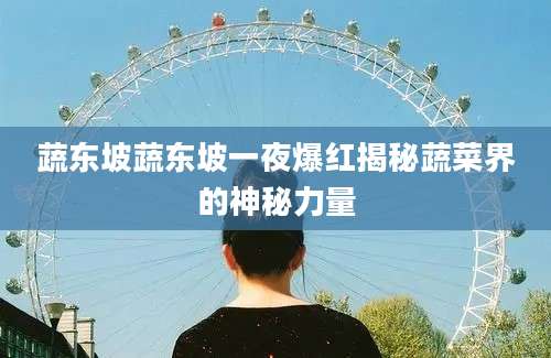 蔬东坡蔬东坡一夜爆红揭秘蔬菜界的神秘力量