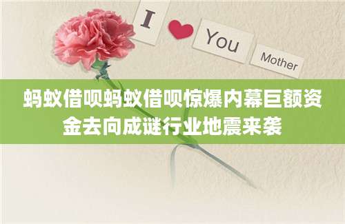 蚂蚁借呗蚂蚁借呗惊爆内幕巨额资金去向成谜行业地震来袭