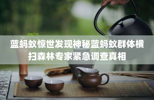 蓝蚂蚁惊世发现神秘蓝蚂蚁群体横扫森林专家紧急调查真相