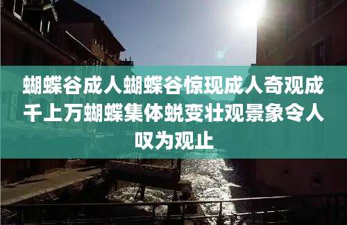 蝴蝶谷成人蝴蝶谷惊现成人奇观成千上万蝴蝶集体蜕变壮观景象令人叹为观止