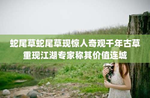 蛇尾草蛇尾草现惊人奇观千年古草重现江湖专家称其价值连城