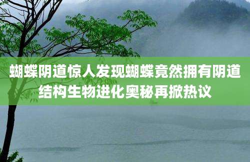 蝴蝶阴道惊人发现蝴蝶竟然拥有阴道结构生物进化奥秘再掀热议