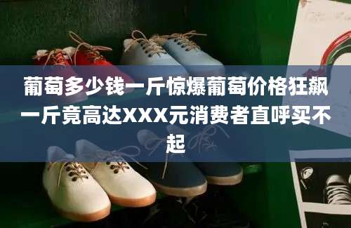 葡萄多少钱一斤惊爆葡萄价格狂飙一斤竟高达XXX元消费者直呼买不起