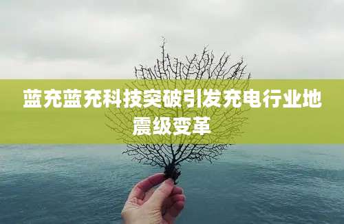 蓝充蓝充科技突破引发充电行业地震级变革