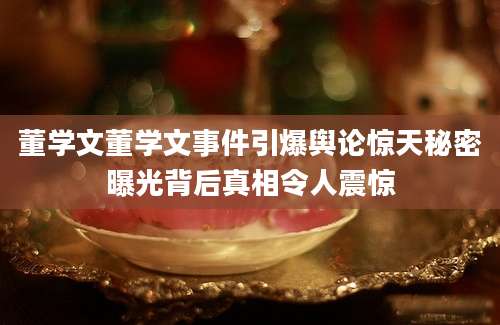 董学文董学文事件引爆舆论惊天秘密曝光背后真相令人震惊