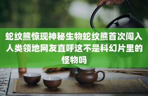 蛇纹熊惊现神秘生物蛇纹熊首次闯入人类领地网友直呼这不是科幻片里的怪物吗