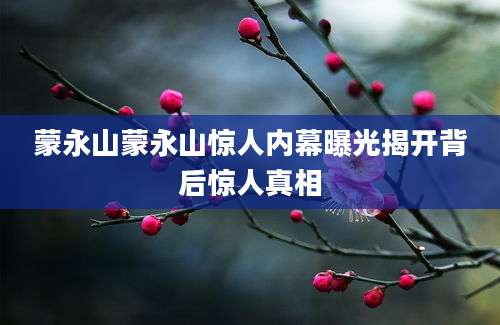 蒙永山蒙永山惊人内幕曝光揭开背后惊人真相