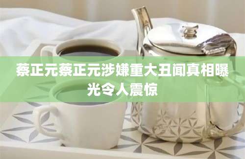 蔡正元蔡正元涉嫌重大丑闻真相曝光令人震惊