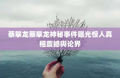 蔡攀龙蔡攀龙神秘事件曝光惊人真相震撼舆论界