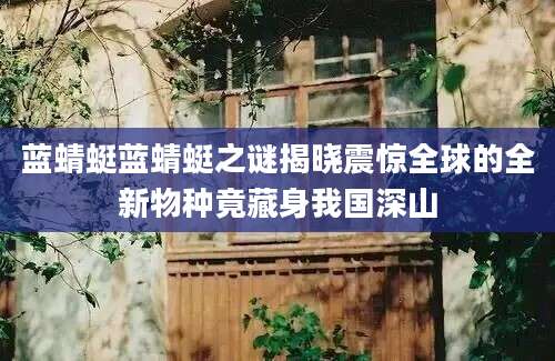 蓝蜻蜓蓝蜻蜓之谜揭晓震惊全球的全新物种竟藏身我国深山