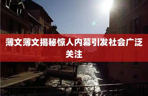 薄文薄文揭秘惊人内幕引发社会广泛关注