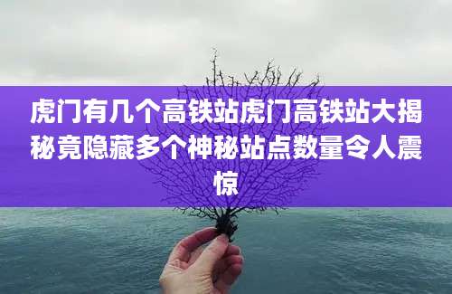 虎门有几个高铁站虎门高铁站大揭秘竟隐藏多个神秘站点数量令人震惊