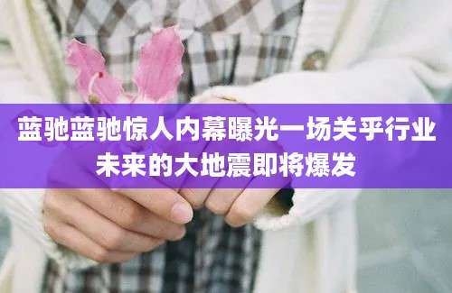 蓝驰蓝驰惊人内幕曝光一场关乎行业未来的大地震即将爆发