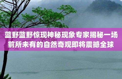 蓝野蓝野惊现神秘现象专家揭秘一场前所未有的自然奇观即将震撼全球