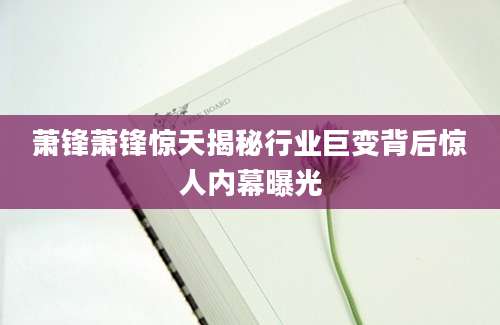 萧锋萧锋惊天揭秘行业巨变背后惊人内幕曝光