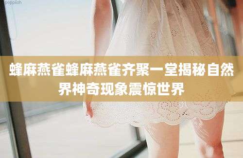 蜂麻燕雀蜂麻燕雀齐聚一堂揭秘自然界神奇现象震惊世界