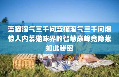 蓝猫淘气三千问蓝猫淘气三千问爆惊人内幕猫咪界的智慧巅峰竟隐藏如此秘密