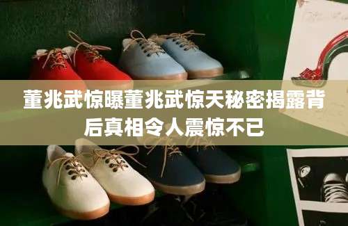 董兆武惊曝董兆武惊天秘密揭露背后真相令人震惊不已