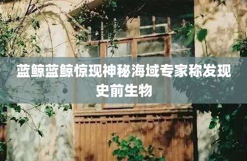 蓝鲸蓝鲸惊现神秘海域专家称发现史前生物