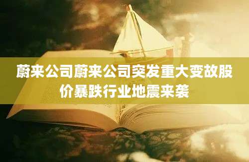 蔚来公司蔚来公司突发重大变故股价暴跌行业地震来袭