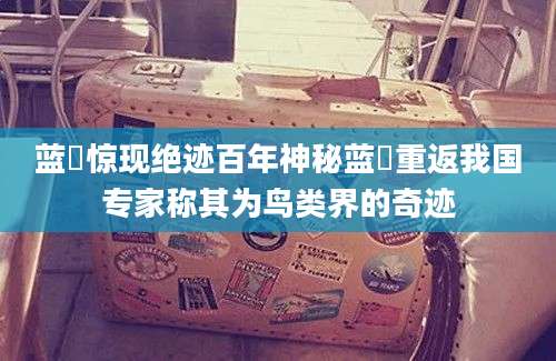 蓝鹀惊现绝迹百年神秘蓝鹀重返我国专家称其为鸟类界的奇迹