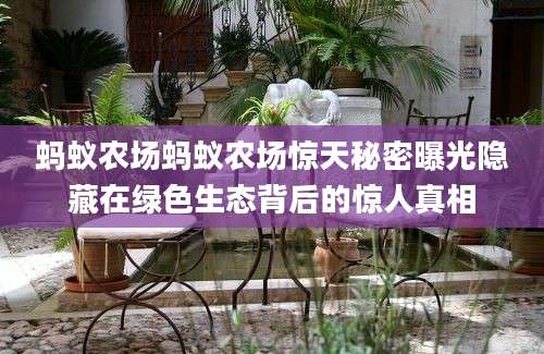 蚂蚁农场蚂蚁农场惊天秘密曝光隐藏在绿色生态背后的惊人真相
