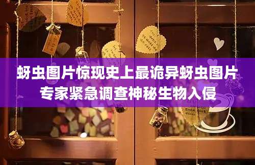 蚜虫图片惊现史上最诡异蚜虫图片专家紧急调查神秘生物入侵