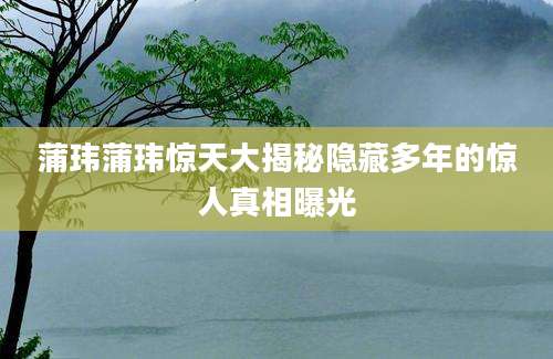 蒲玮蒲玮惊天大揭秘隐藏多年的惊人真相曝光