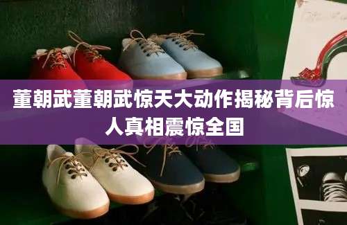 董朝武董朝武惊天大动作揭秘背后惊人真相震惊全国