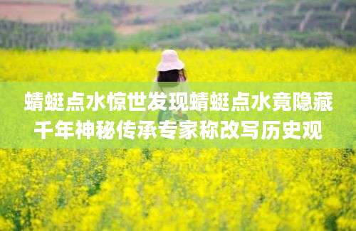 蜻蜓点水惊世发现蜻蜓点水竟隐藏千年神秘传承专家称改写历史观