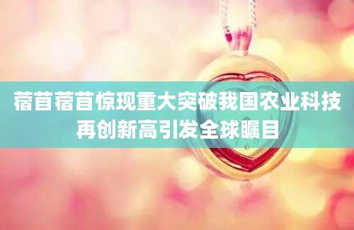 蓿苜蓿苜惊现重大突破我国农业科技再创新高引发全球瞩目