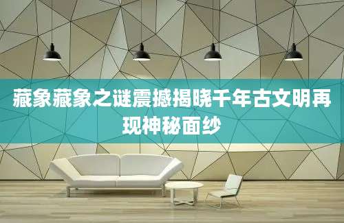 藏象藏象之谜震撼揭晓千年古文明再现神秘面纱