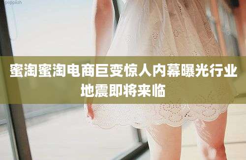 蜜淘蜜淘电商巨变惊人内幕曝光行业地震即将来临