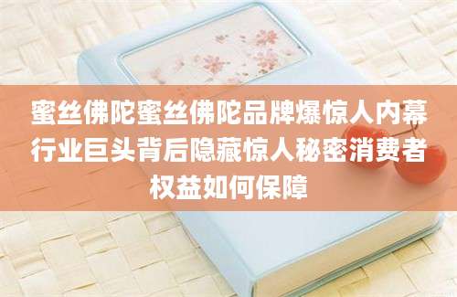 蜜丝佛陀蜜丝佛陀品牌爆惊人内幕行业巨头背后隐藏惊人秘密消费者权益如何保障