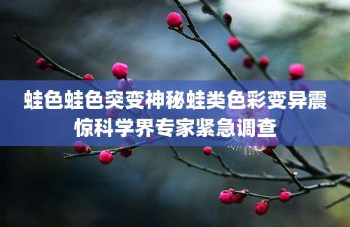 蛙色蛙色突变神秘蛙类色彩变异震惊科学界专家紧急调查