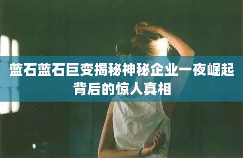 蓝石蓝石巨变揭秘神秘企业一夜崛起背后的惊人真相