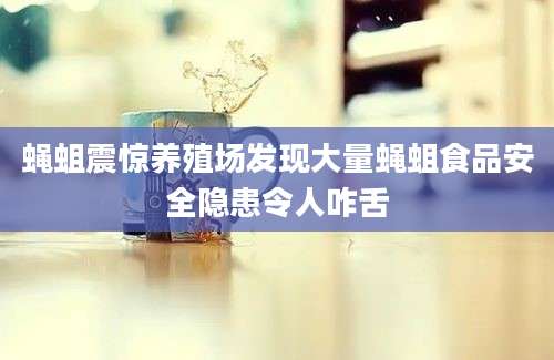 蝇蛆震惊养殖场发现大量蝇蛆食品安全隐患令人咋舌