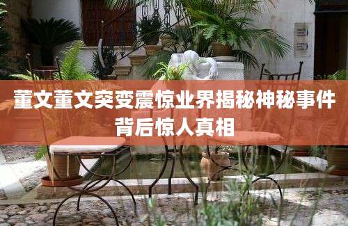 董文董文突变震惊业界揭秘神秘事件背后惊人真相