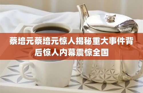 蔡培元蔡培元惊人揭秘重大事件背后惊人内幕震惊全国