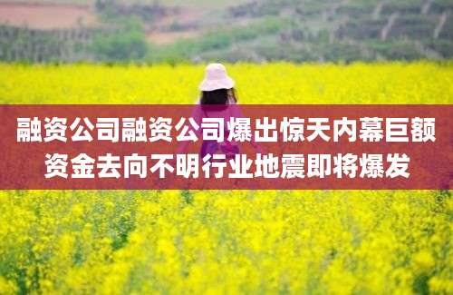 融资公司融资公司爆出惊天内幕巨额资金去向不明行业地震即将爆发