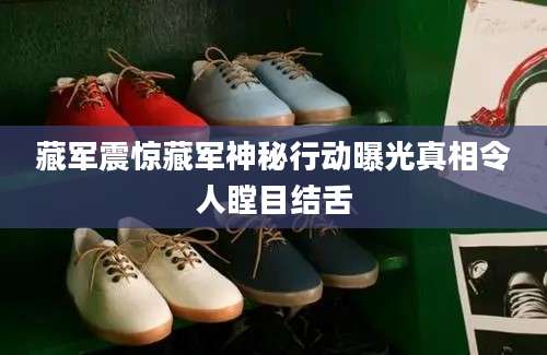 藏军震惊藏军神秘行动曝光真相令人瞠目结舌